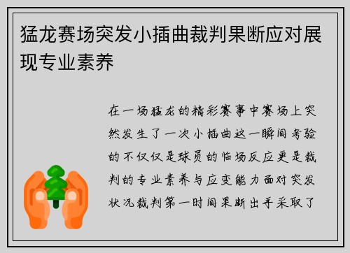 猛龙赛场突发小插曲裁判果断应对展现专业素养